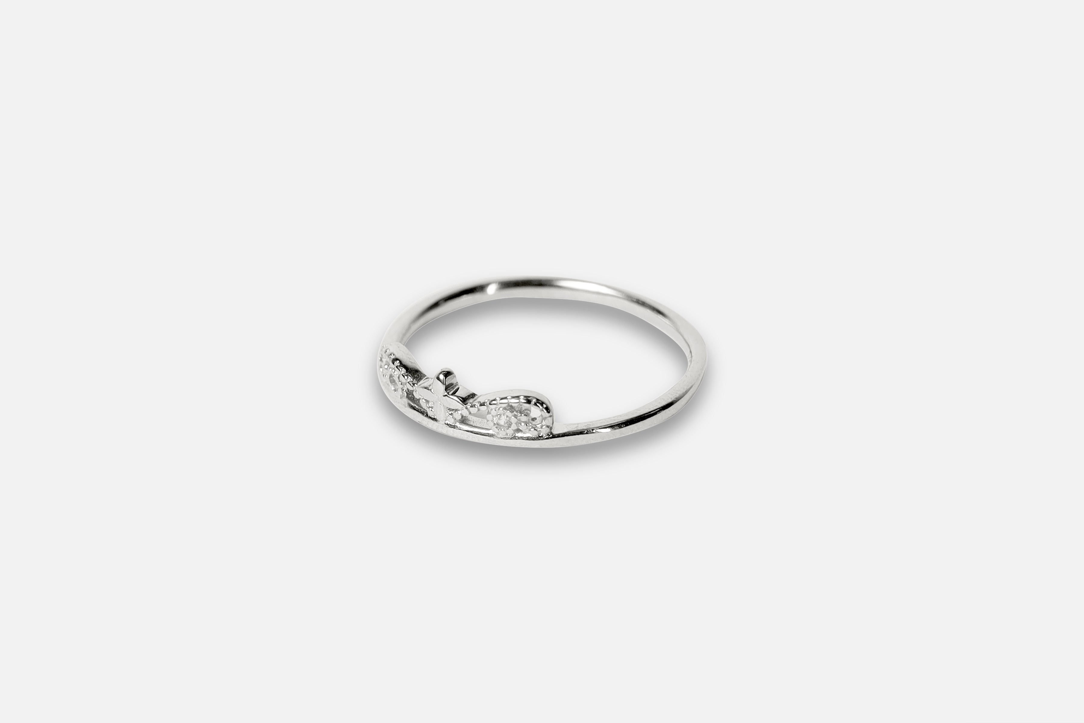 King Elegance Silver Ring